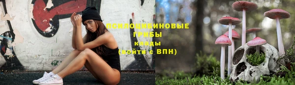 2c-b Алексин