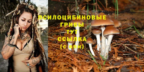 мяу мяу мука Алексеевка